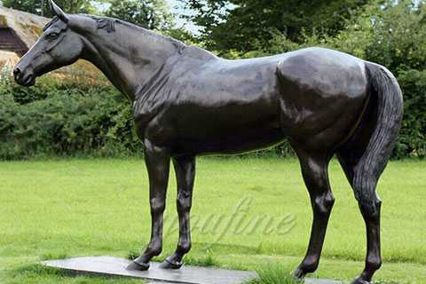 Life size bronze horse statue