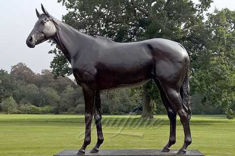 black standing Ornamental bronze horse