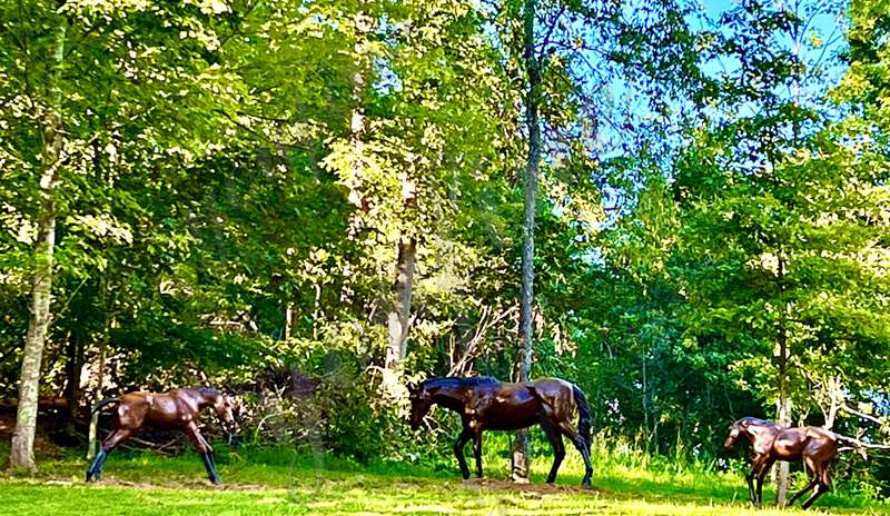 outdoor horse statues-YouFine Sculpture