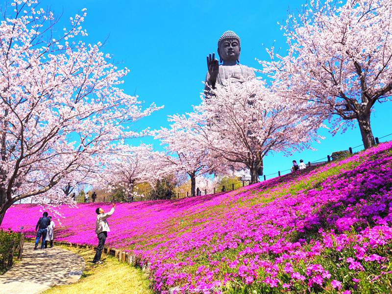 Ushiku-Daibutsu-YouFine Sculpture