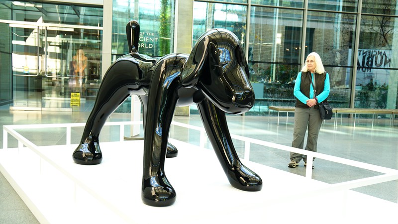 Dog-2003-fiberglass-black-paint