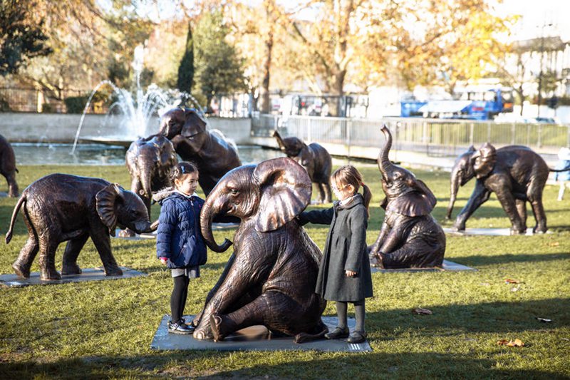 lion wildlife statue