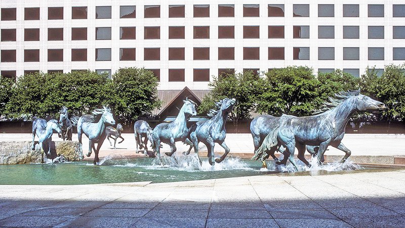 5.The Mustangs of Las Colinas