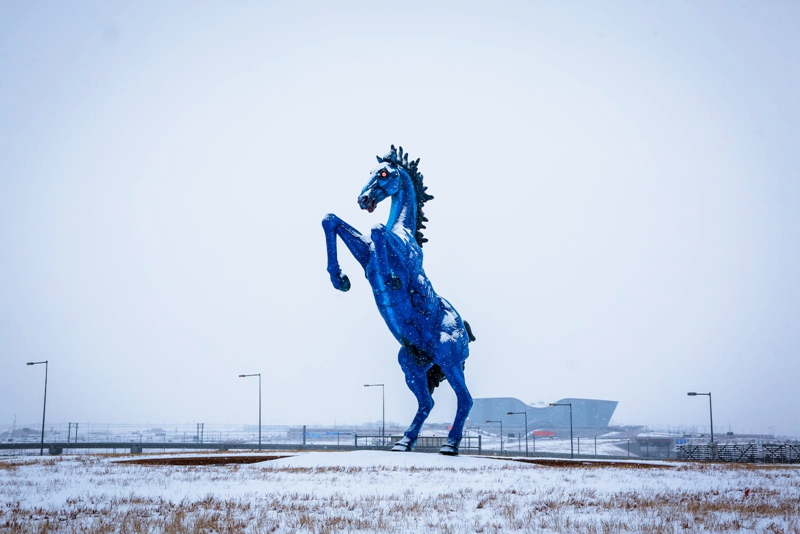 large blue-horse