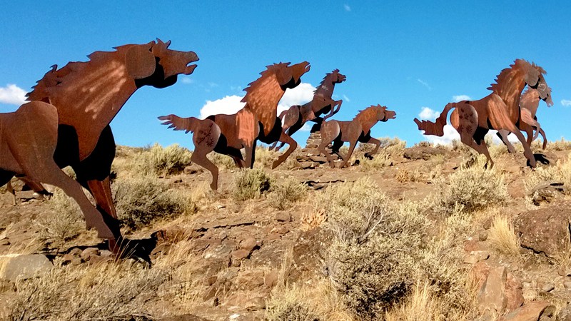 wild-horses-monument-grandfather-cuts-loose-ponies