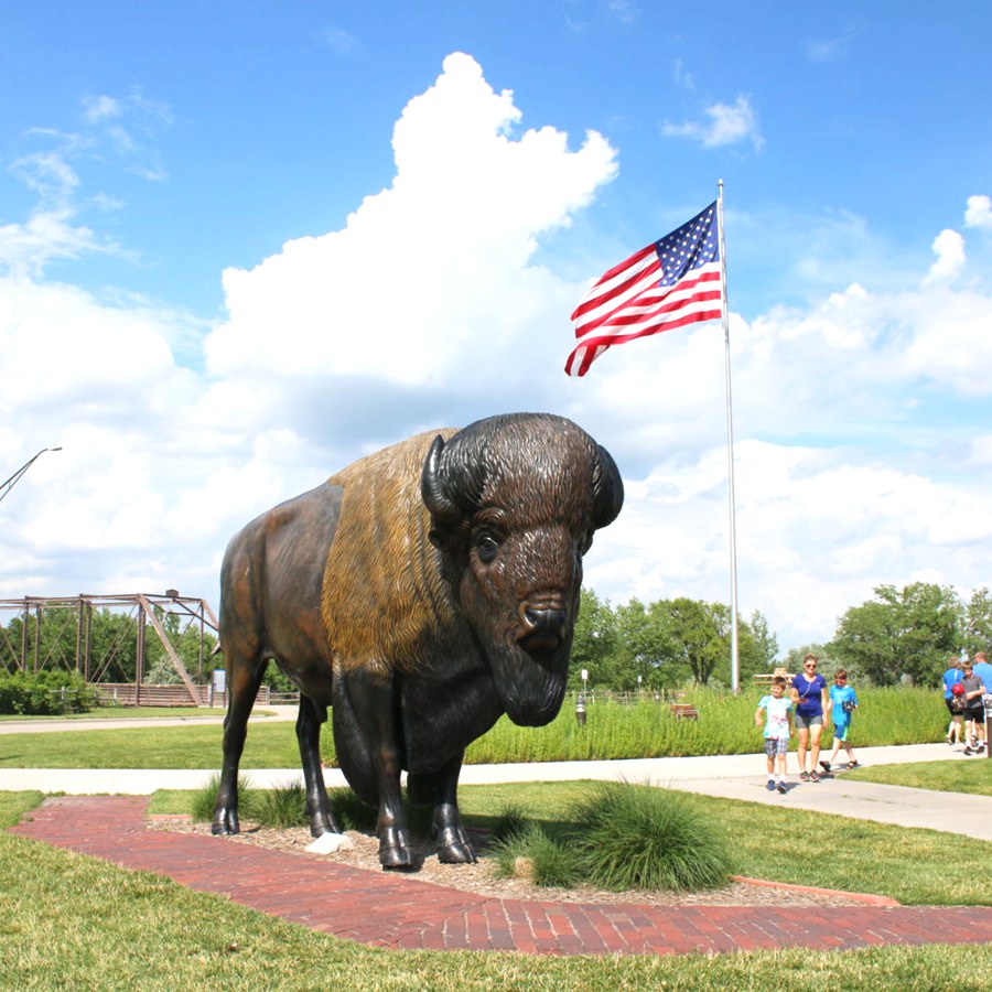 Bison vs. Buffalo: What’s The Difference?