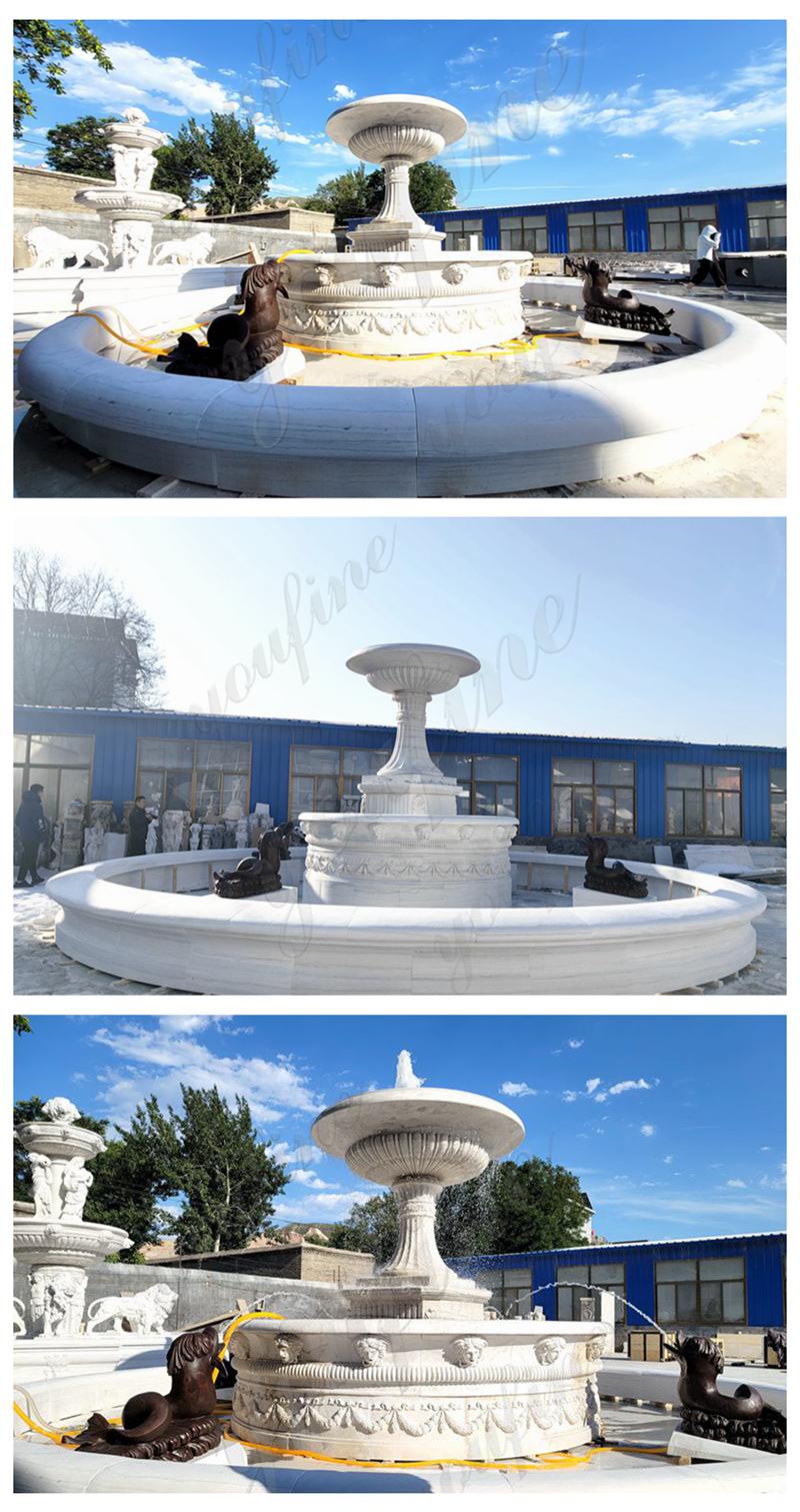 Fountain With Bronze Fish Statue