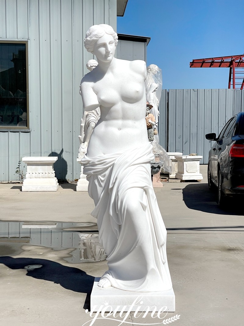 Different Marble Venus Statue