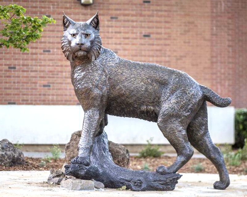 bronze Wildcat Sculpture