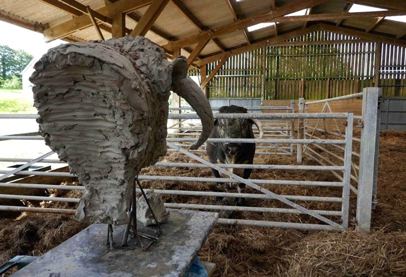 bronze buffalo statue clay model