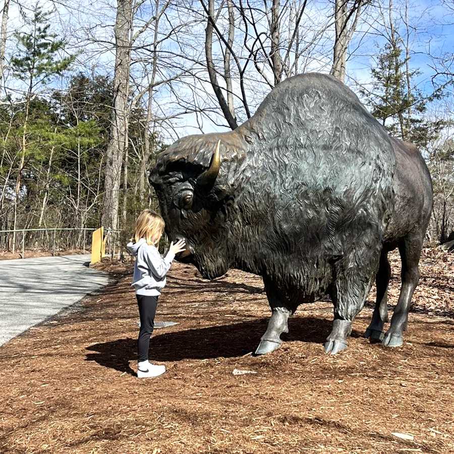 The North Carolina Zoo American Large Black Bronze Bison BOKK-503