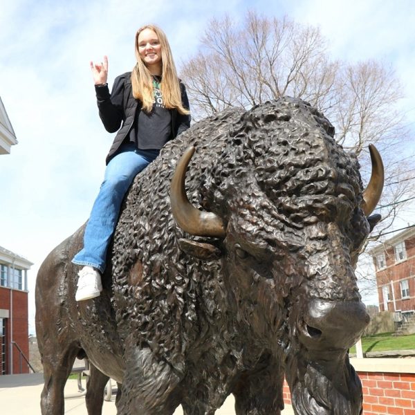 large outdoor buffalo statue