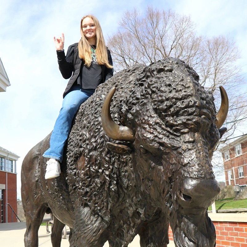 NDSU Campus Welcome Bronze Sculpture Large Bison BAN-083