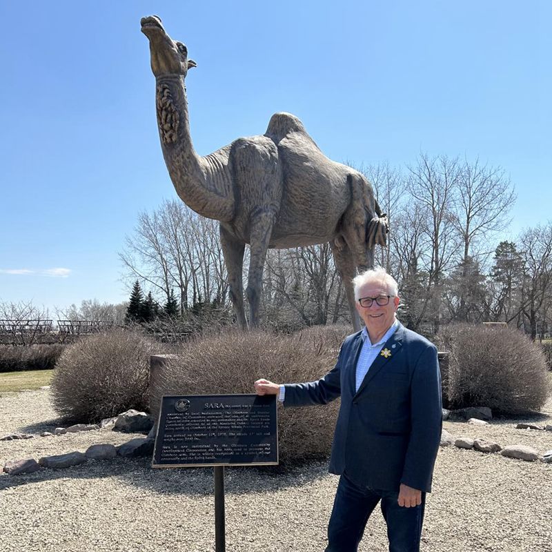 Standing Bronze camel sculpture