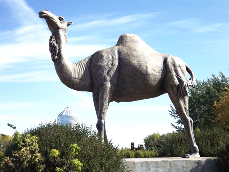 Standing Bronze camel statue