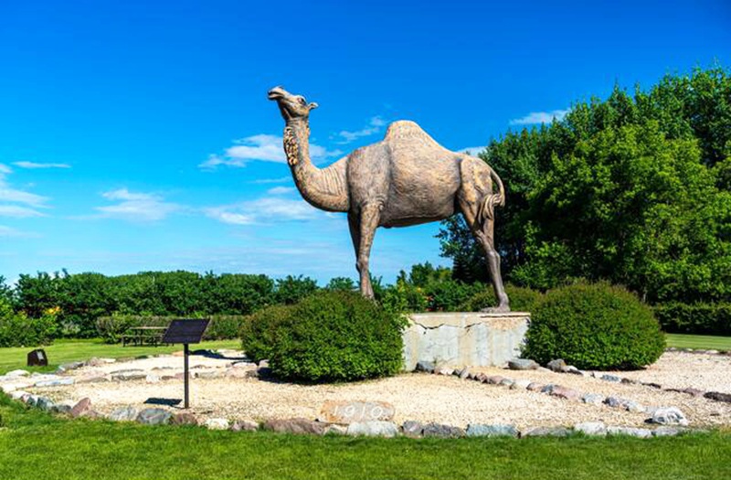 Standing Bronze camel statues for sale