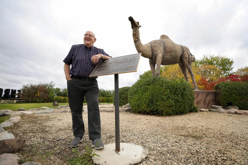 Standing camel statue