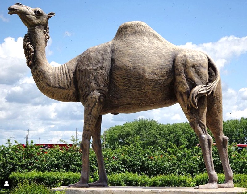 Standing large camel statue