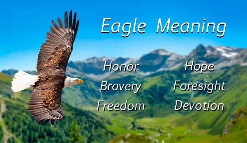 large eagle meaning symbolism